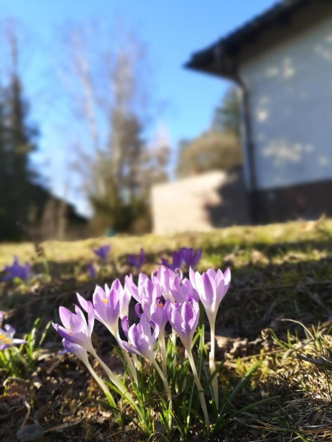 فيلا Haus Zur Lachenden Lieselotte I 5 Minuten Zu Fuss Zum Kostenlosen Naturbad I Messenaehe I Waldnaehe Postbauer-Heng المظهر الخارجي الصورة